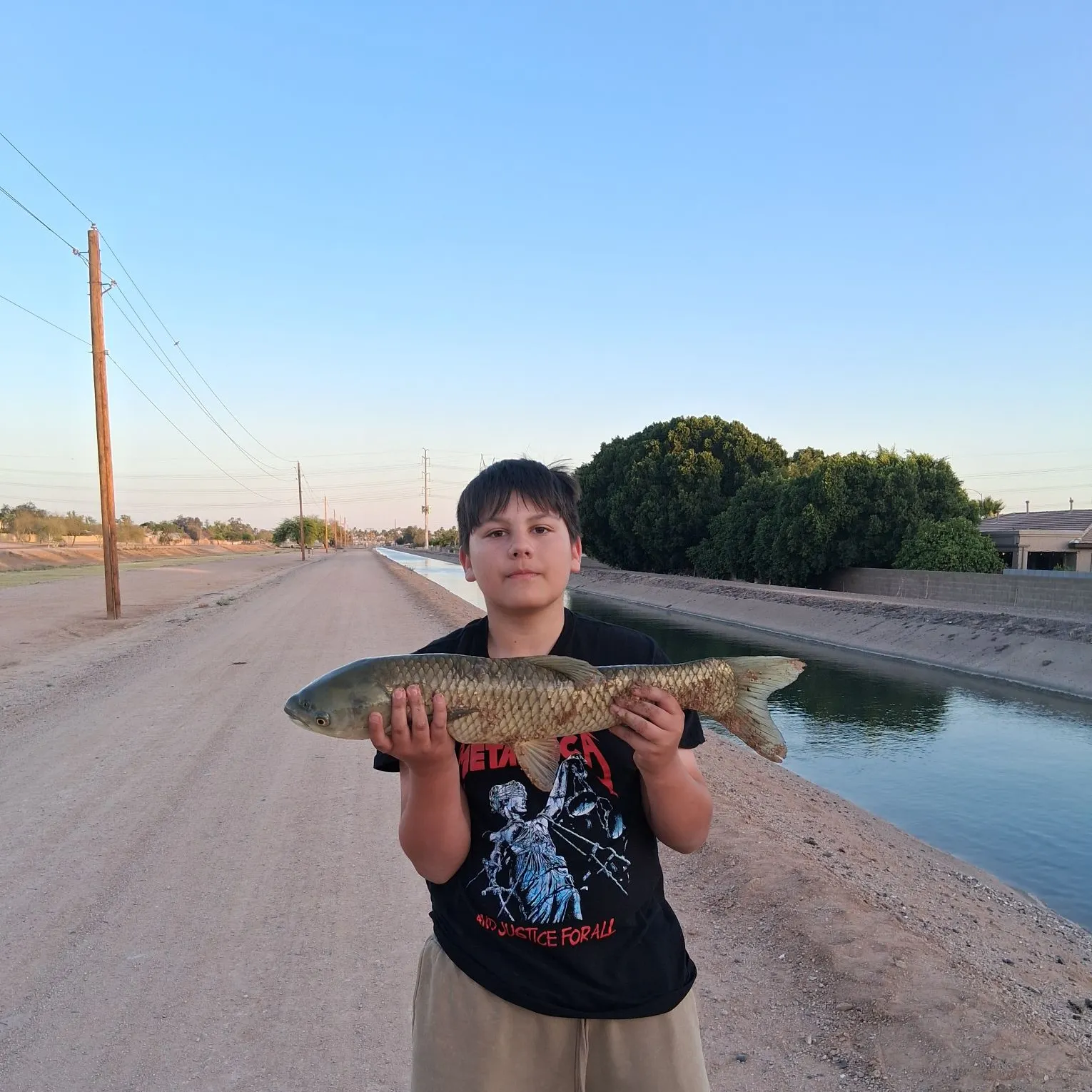 The most recent Grass carp catches on Fishbrain