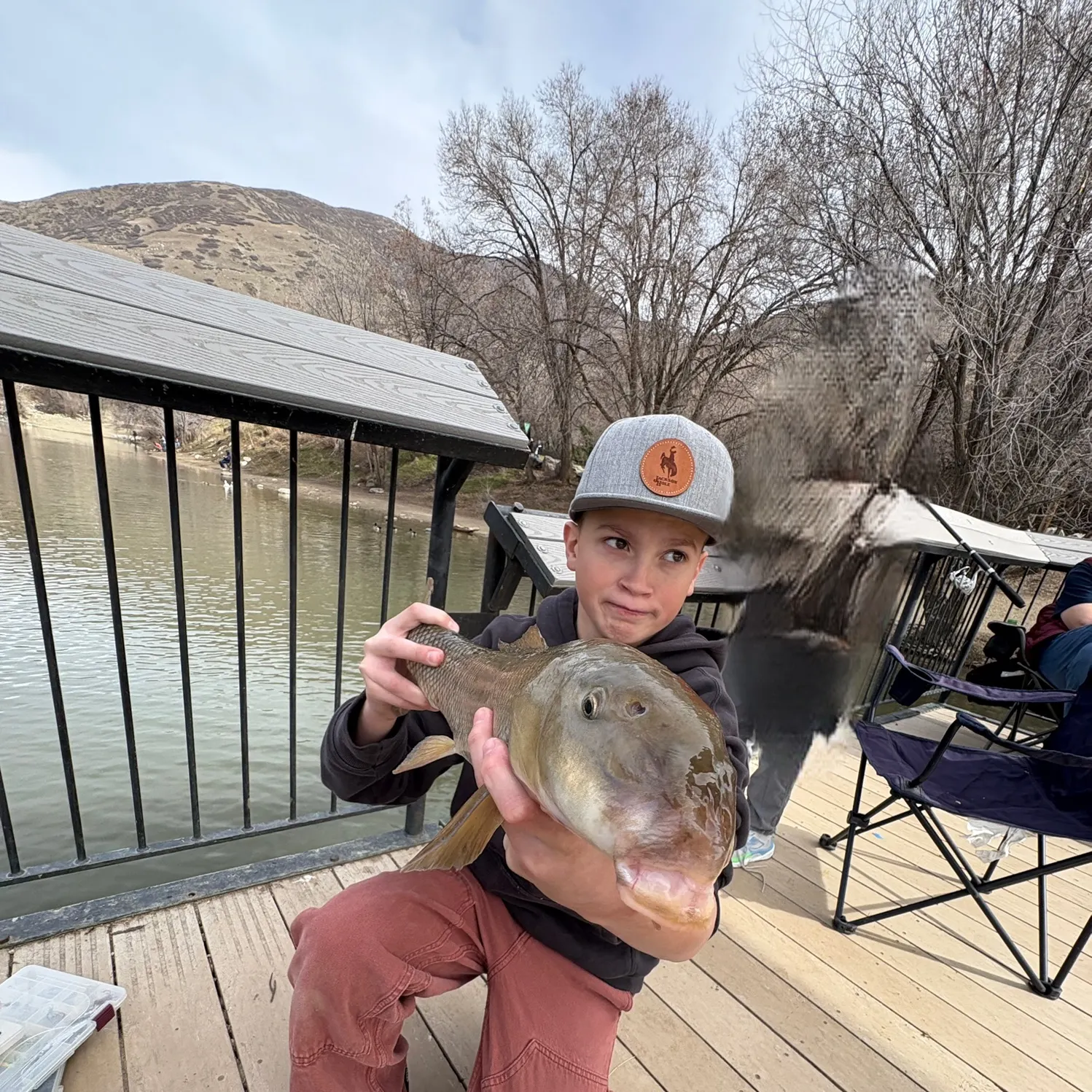 The most recent Utah sucker catches on Fishbrain