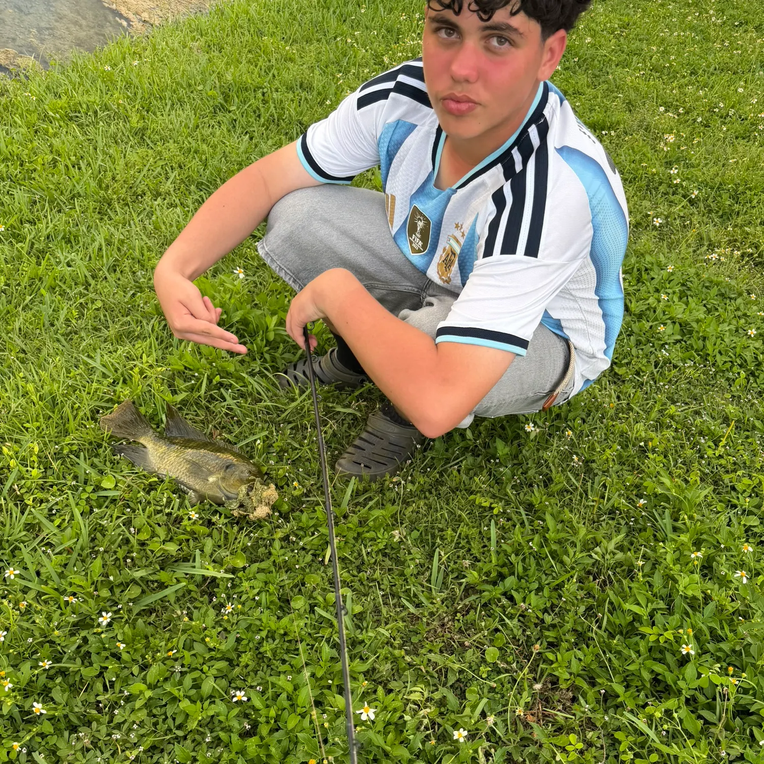 Spotted tilapia caught on Fishbrain