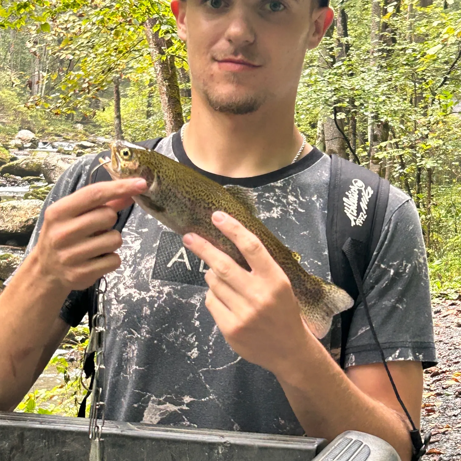 Rainbow trout caught on Fishbrain