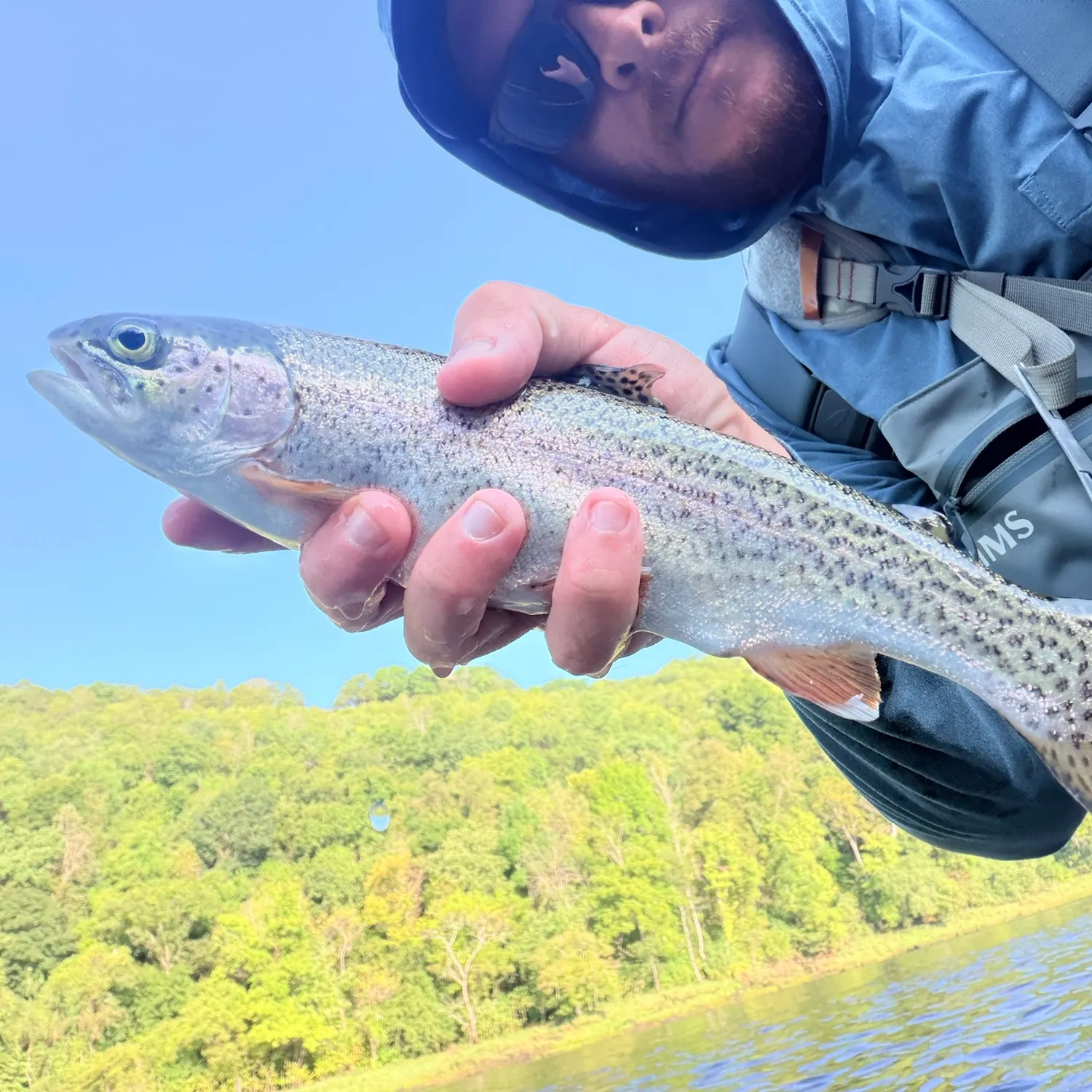 Rainbow trout caught on Fishbrain