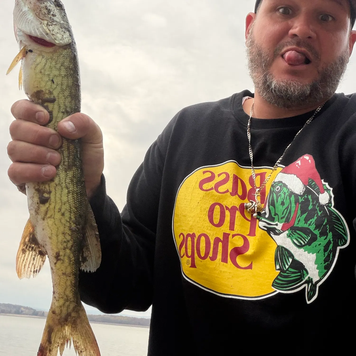 Chain pickerel caught on Fishbrain