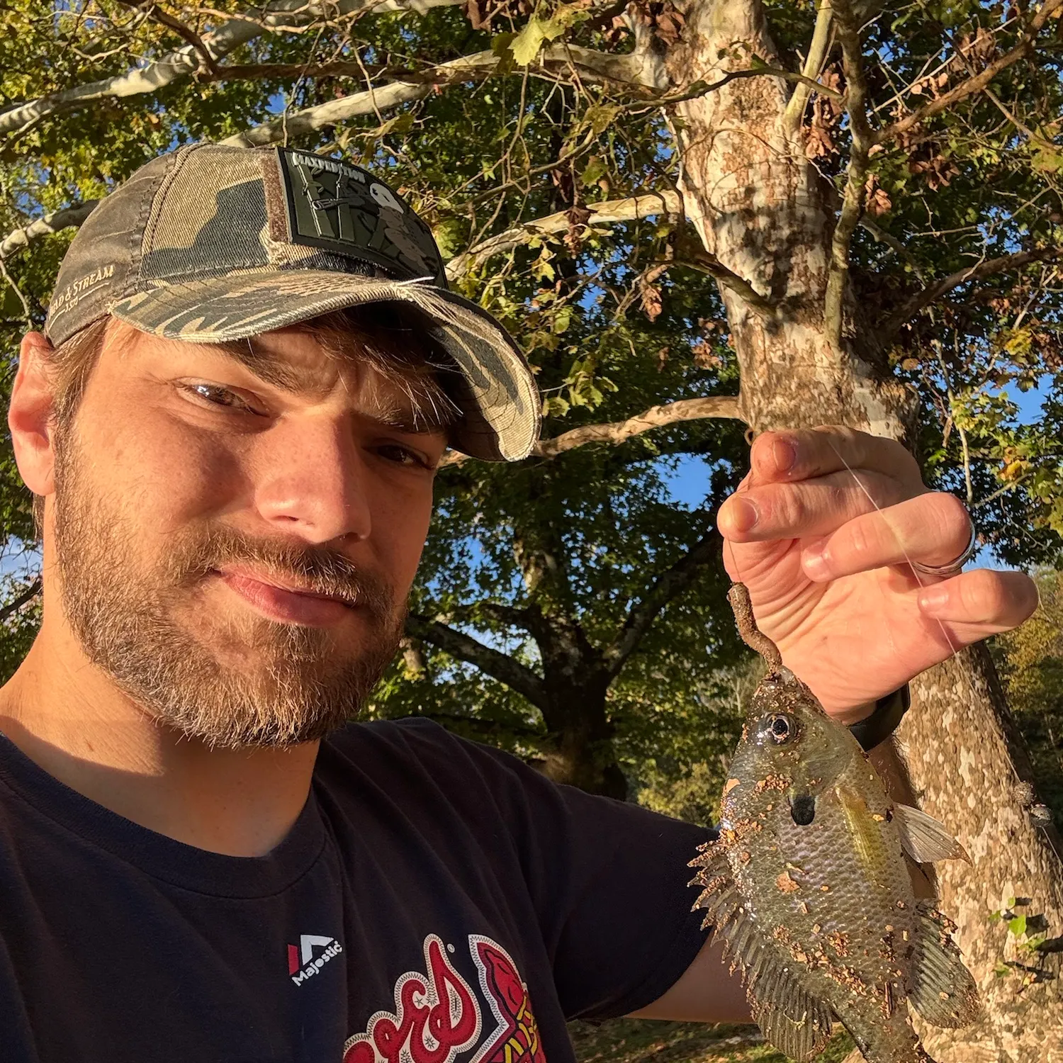 Bluegill caught on Fishbrain
