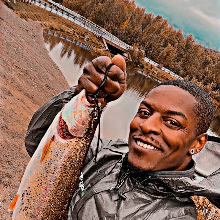 Rainbow trout caught on Fishbrain