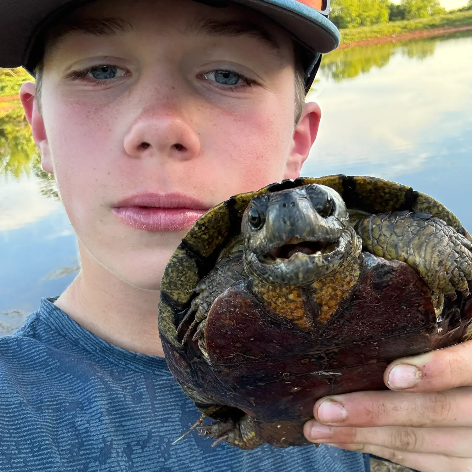 The most recent Pond slider catches on Fishbrain