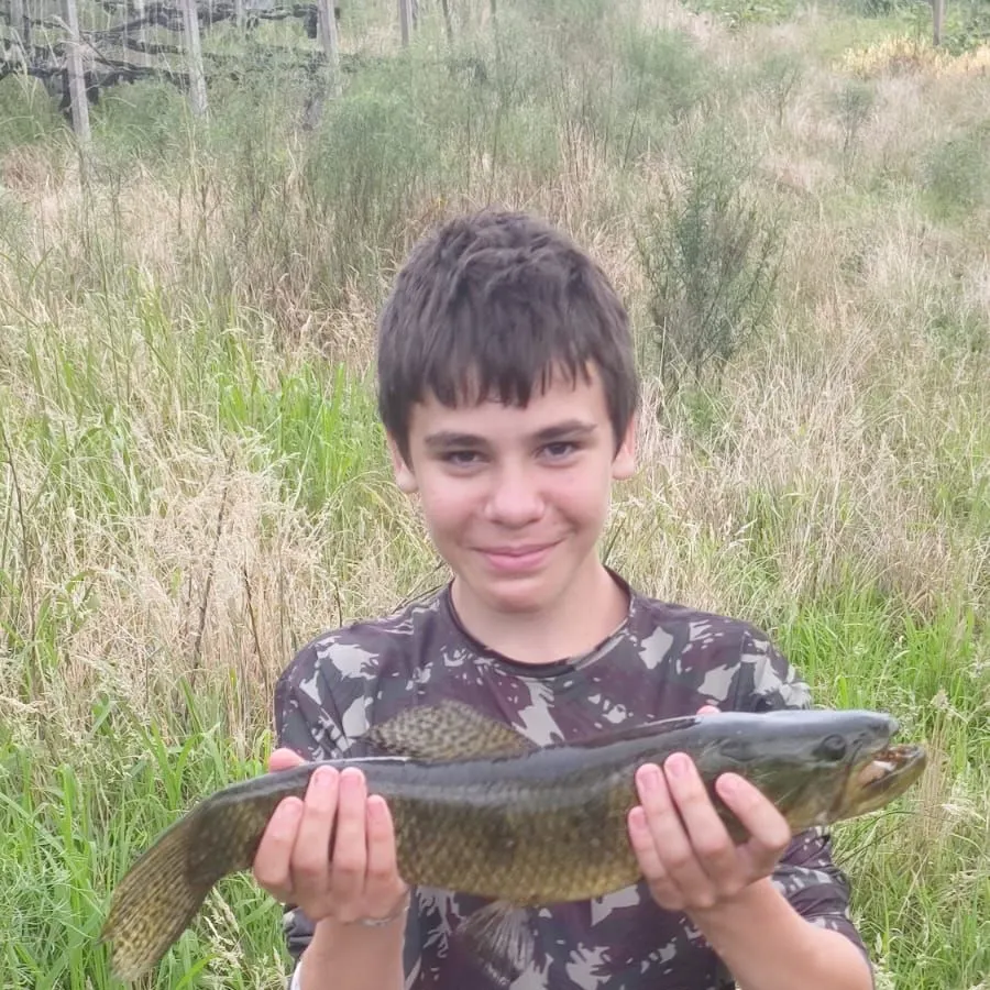 The most recent Trahira catches on Fishbrain