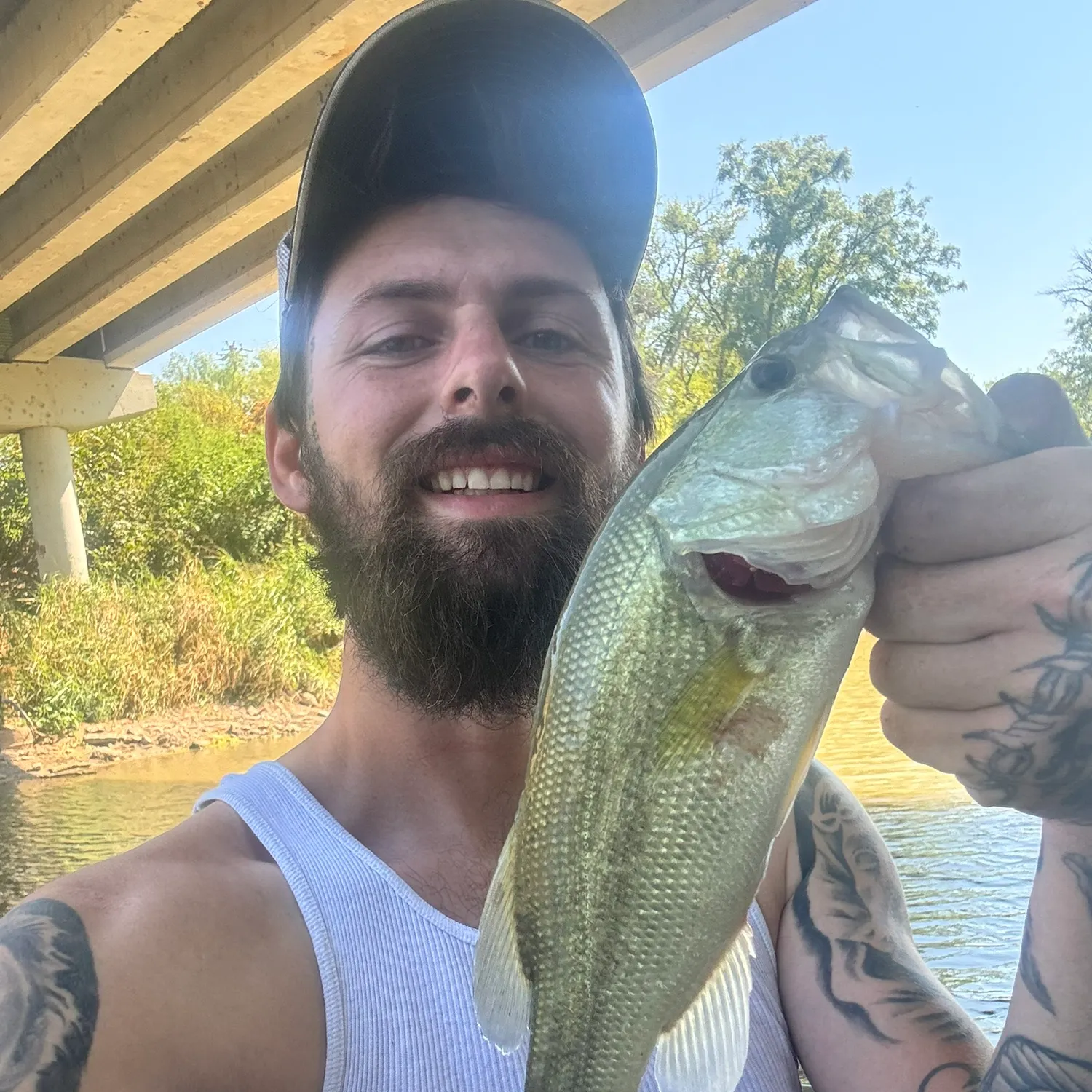Largemouth bass caught on Fishbrain