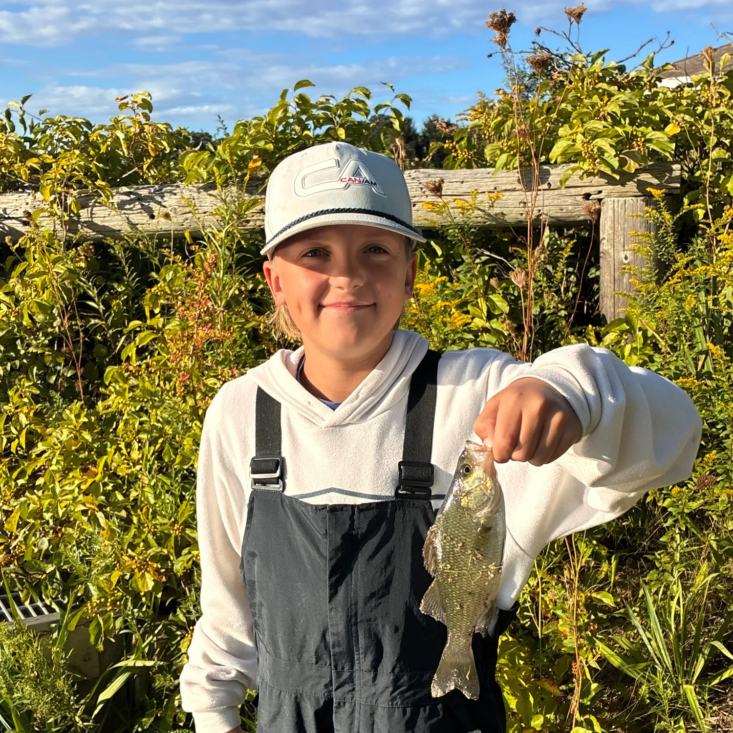 White perch caught on Fishbrain