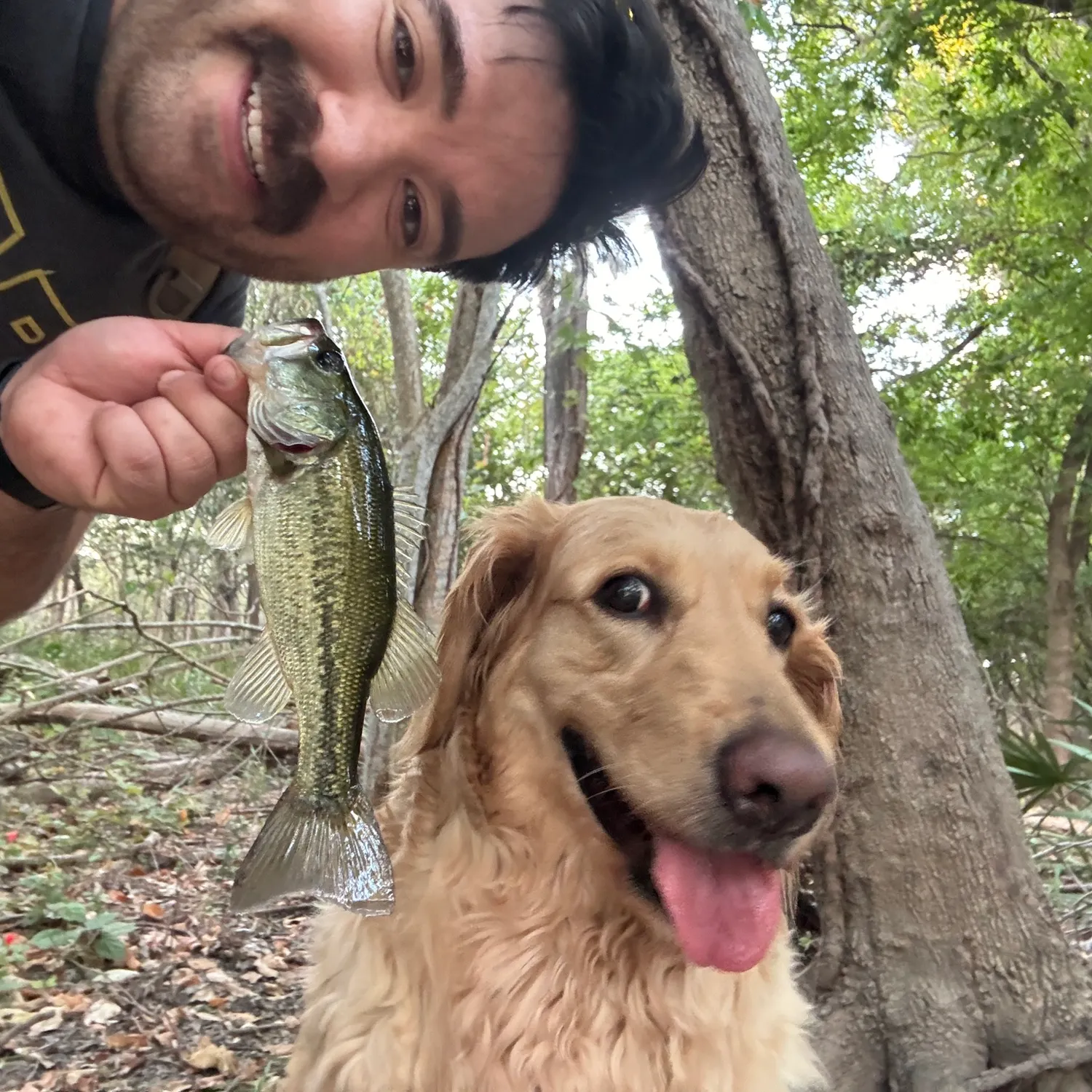 Spotted bass caught on Fishbrain