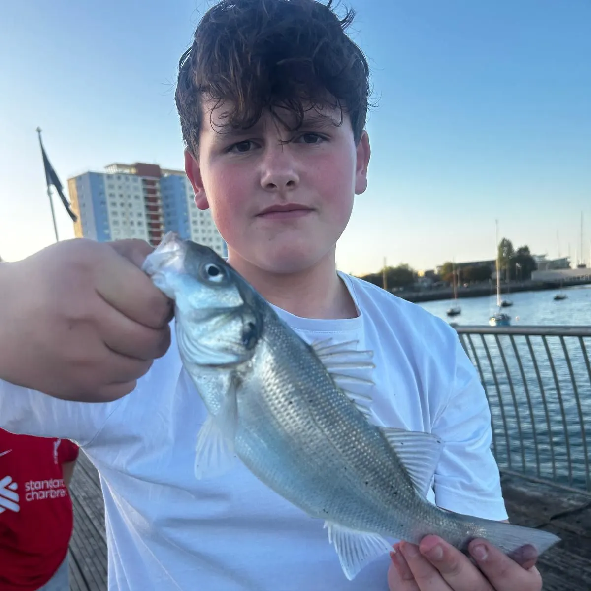 European seabass caught on Fishbrain