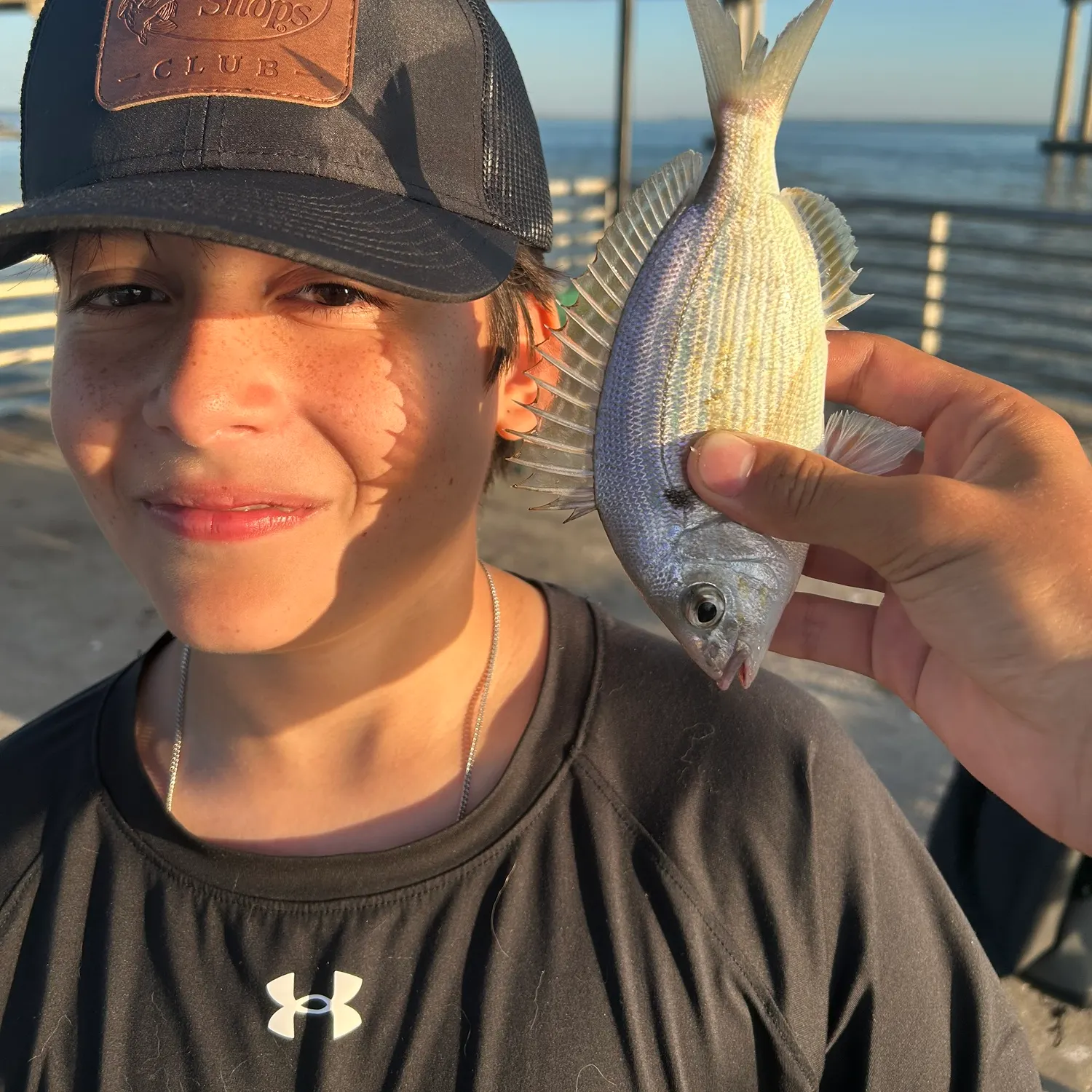 Pinfish caught on Fishbrain