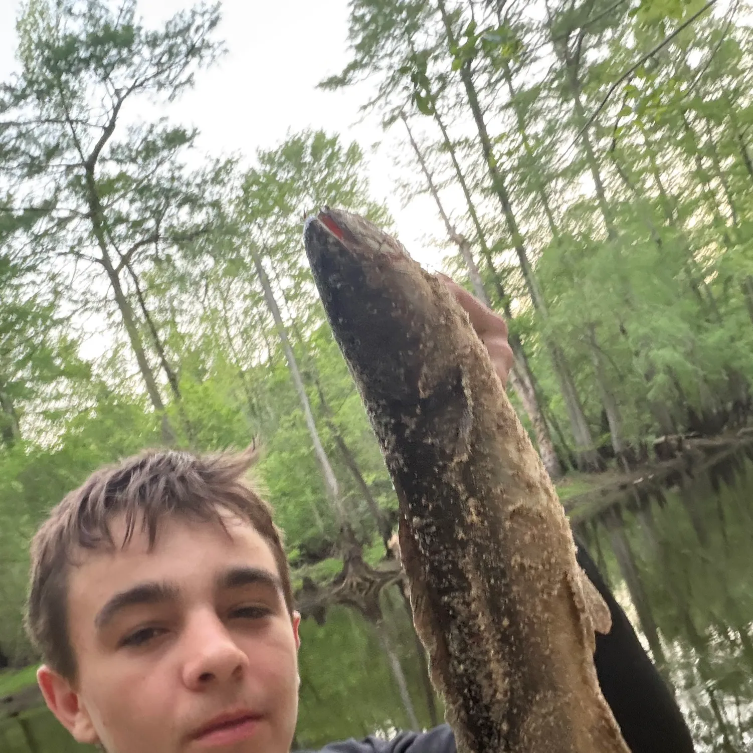 The most recent River blackfish catches on Fishbrain