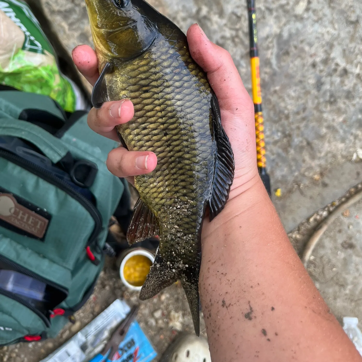 catch