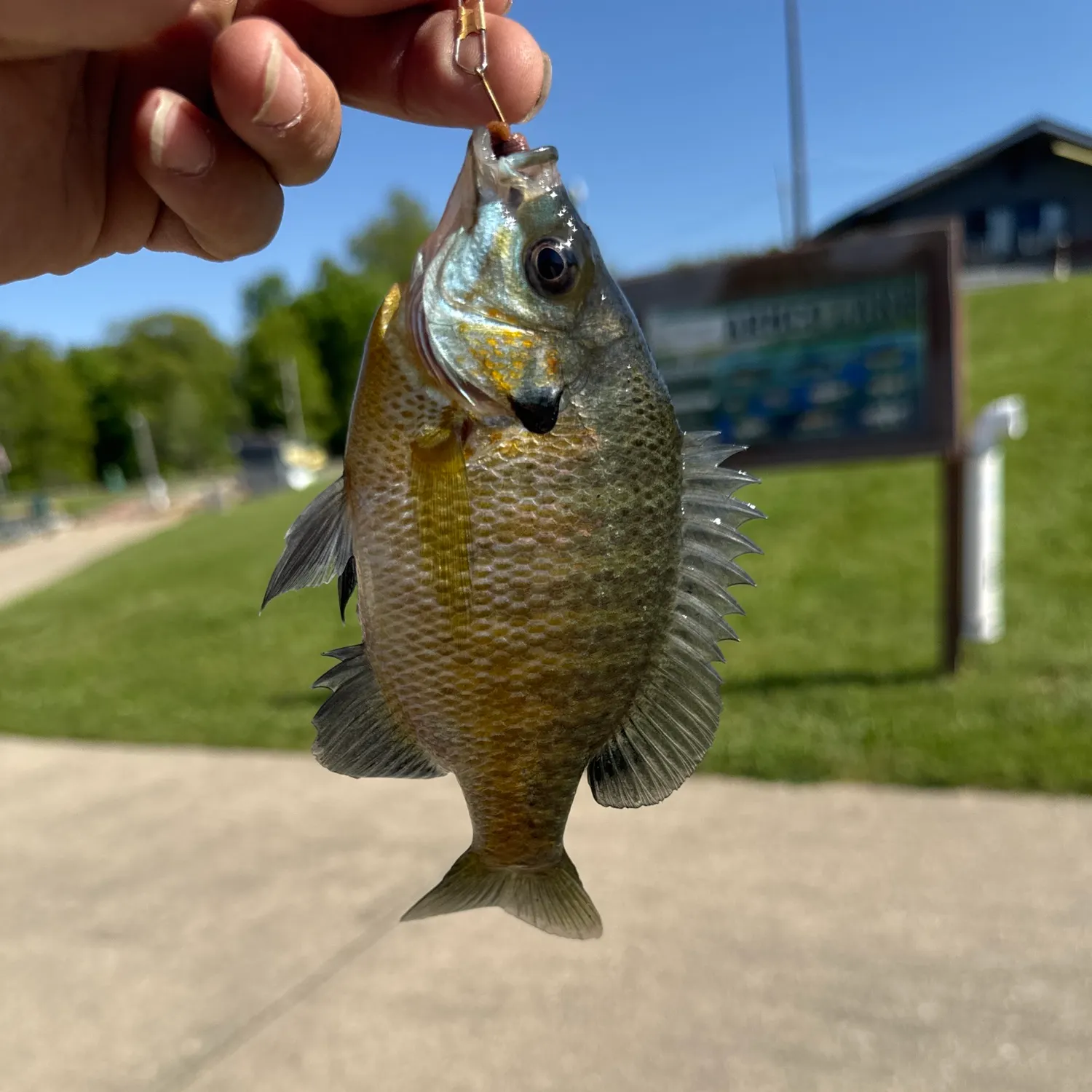 catch