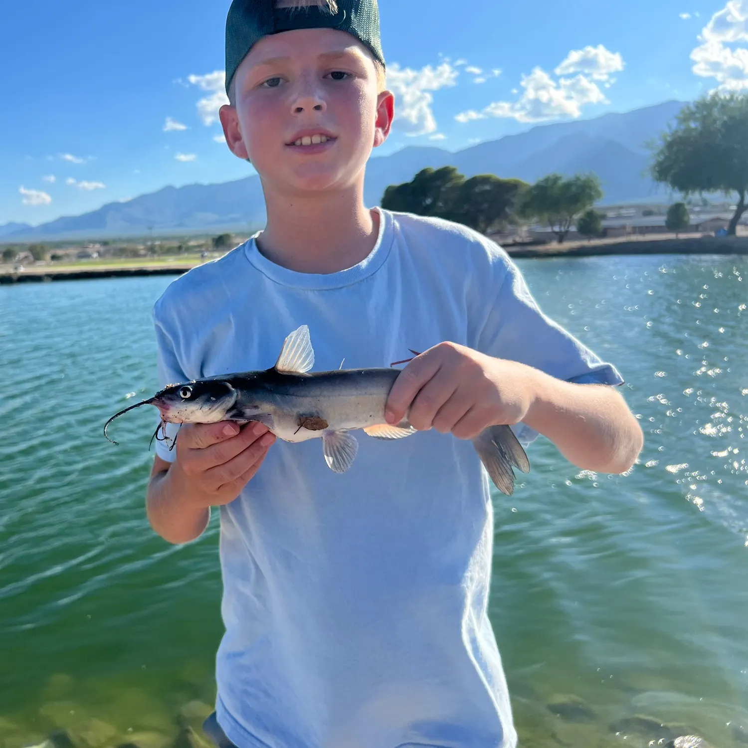 Channel catfish caught on Fishbrain