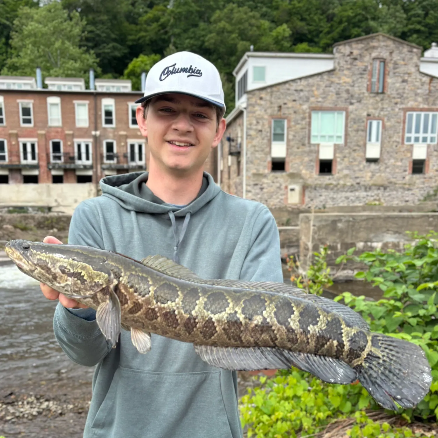The most recent Northern snakehead catches on Fishbrain