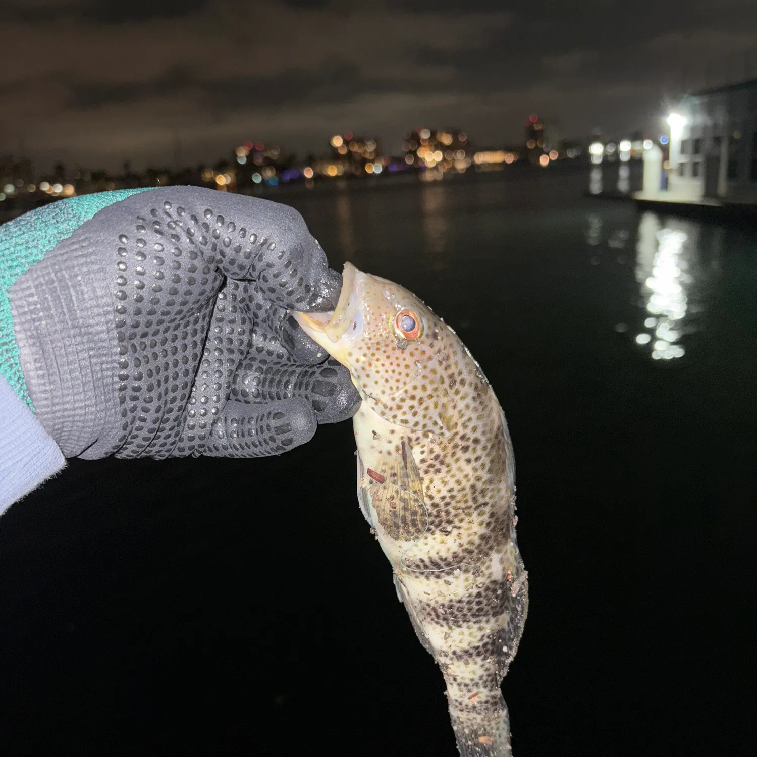 catch