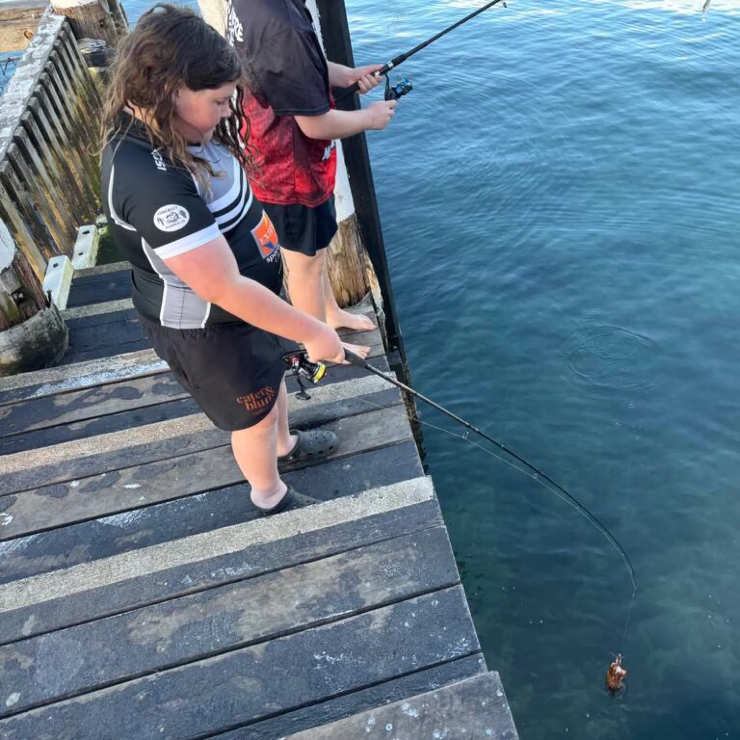 The most recent Common cuttlefish catches on Fishbrain