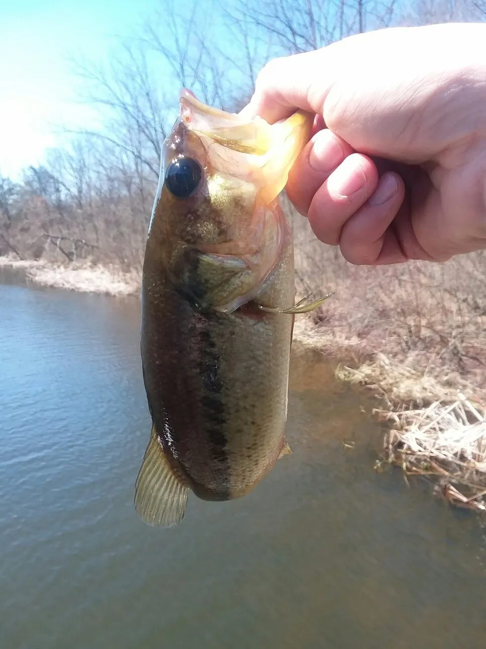 Post image from spurves