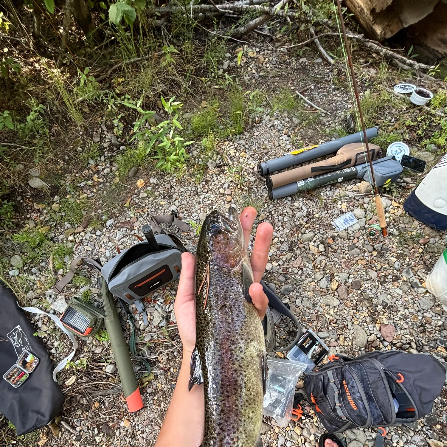 Cutbow caught on Fishbrain