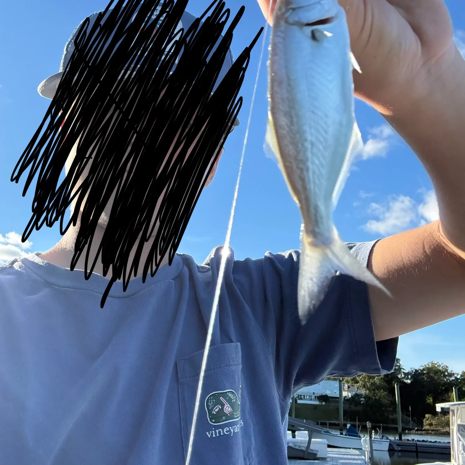 Bluefish caught on Fishbrain