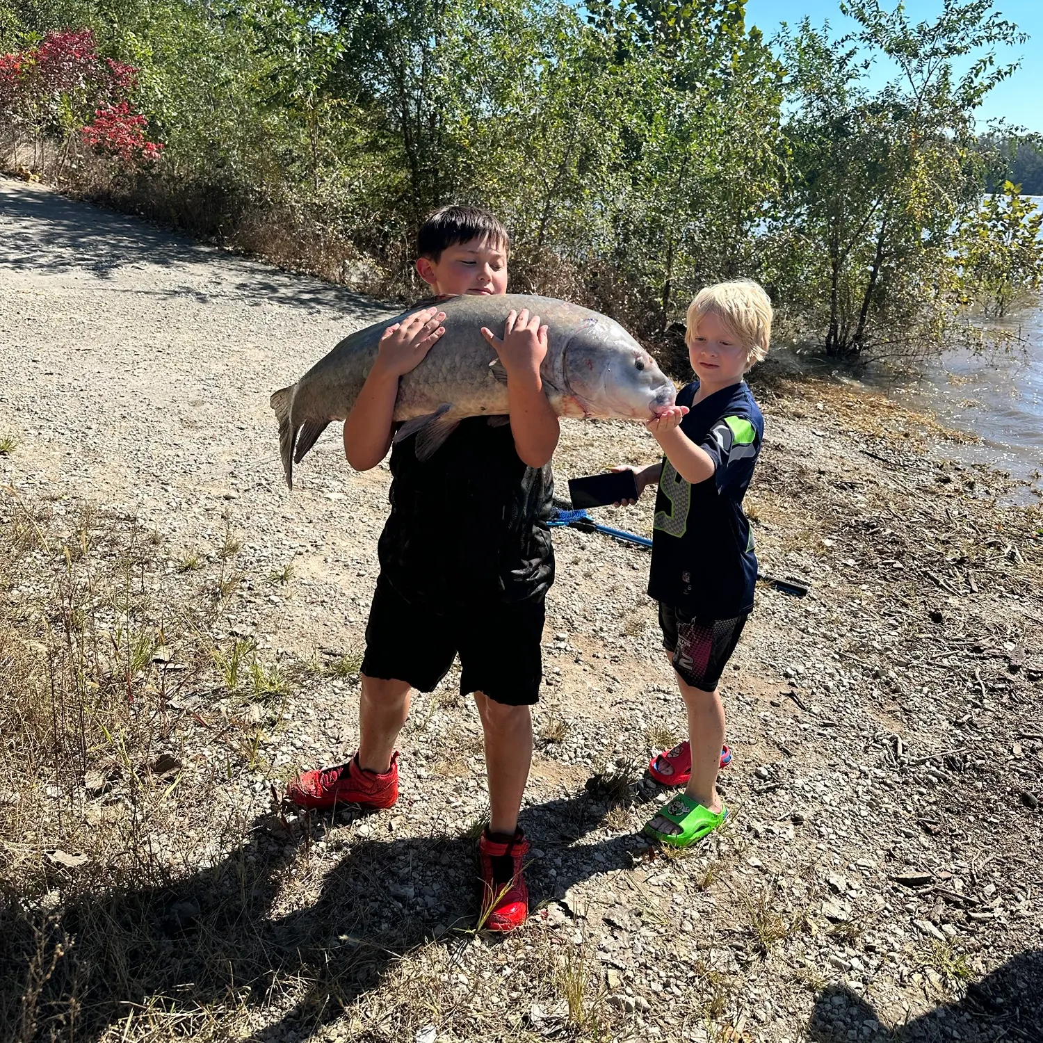 Smallmouth buffalo caught on Fishbrain