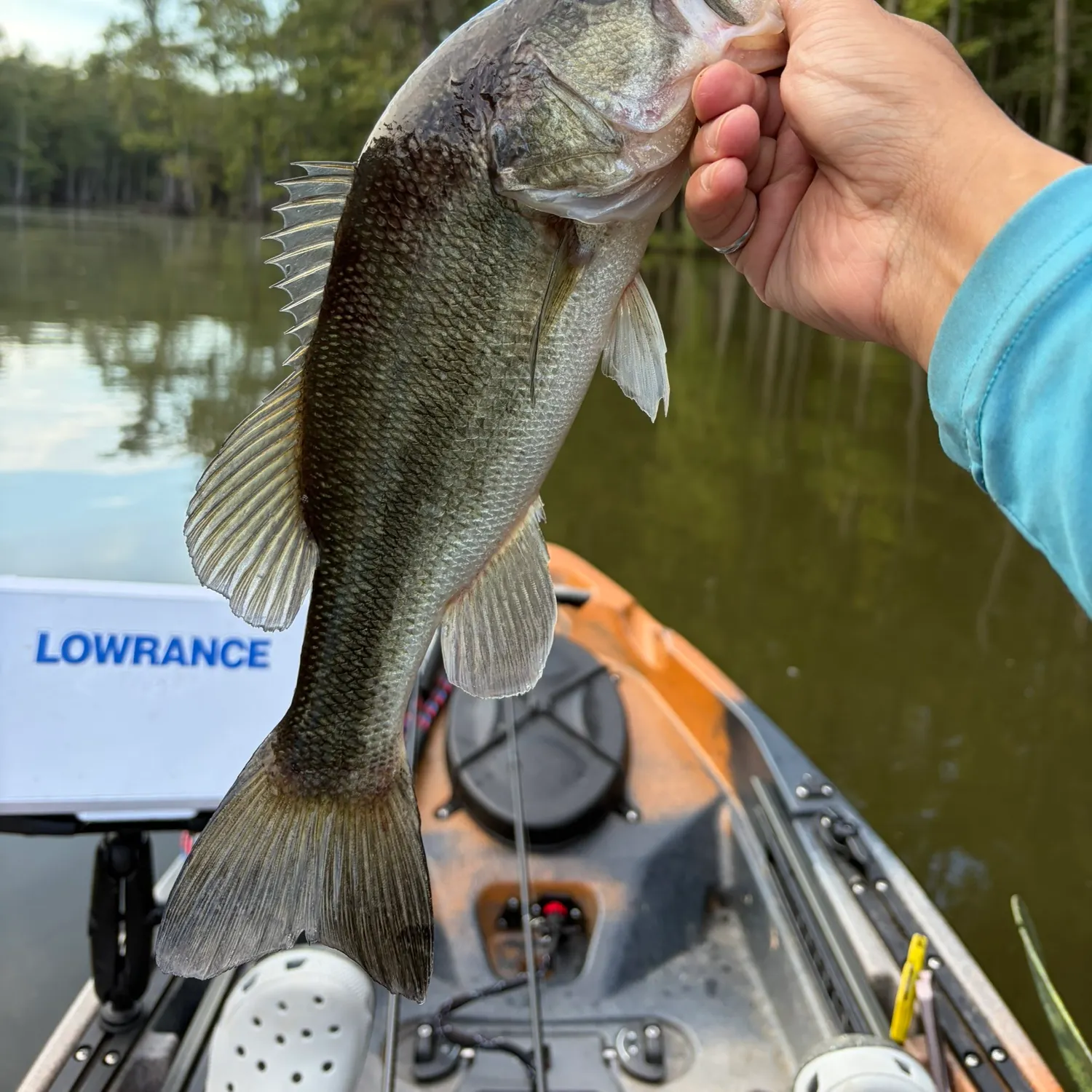 Largemouth bass caught on Fishbrain