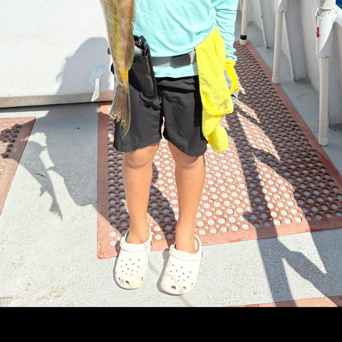 The most recent Scamp grouper catches on Fishbrain