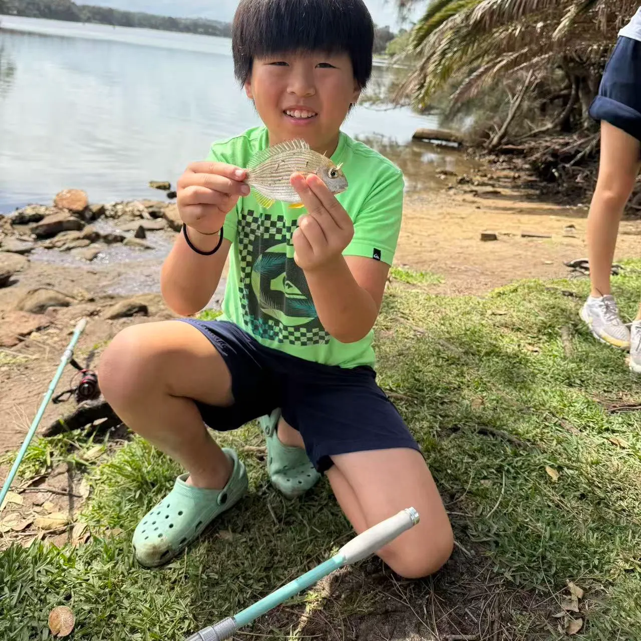 Surf bream caught on Fishbrain