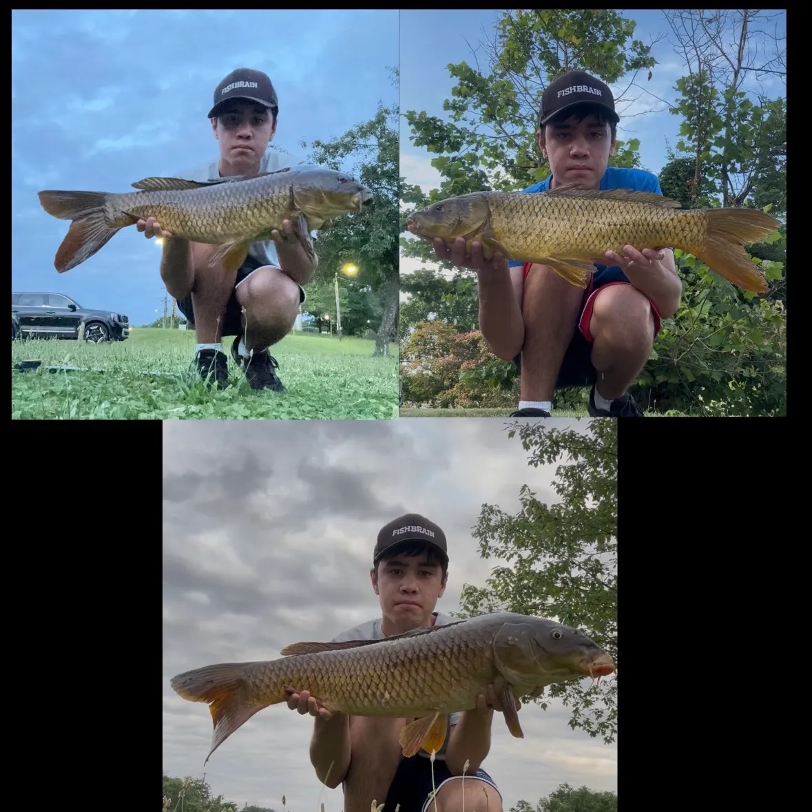 recently logged catches