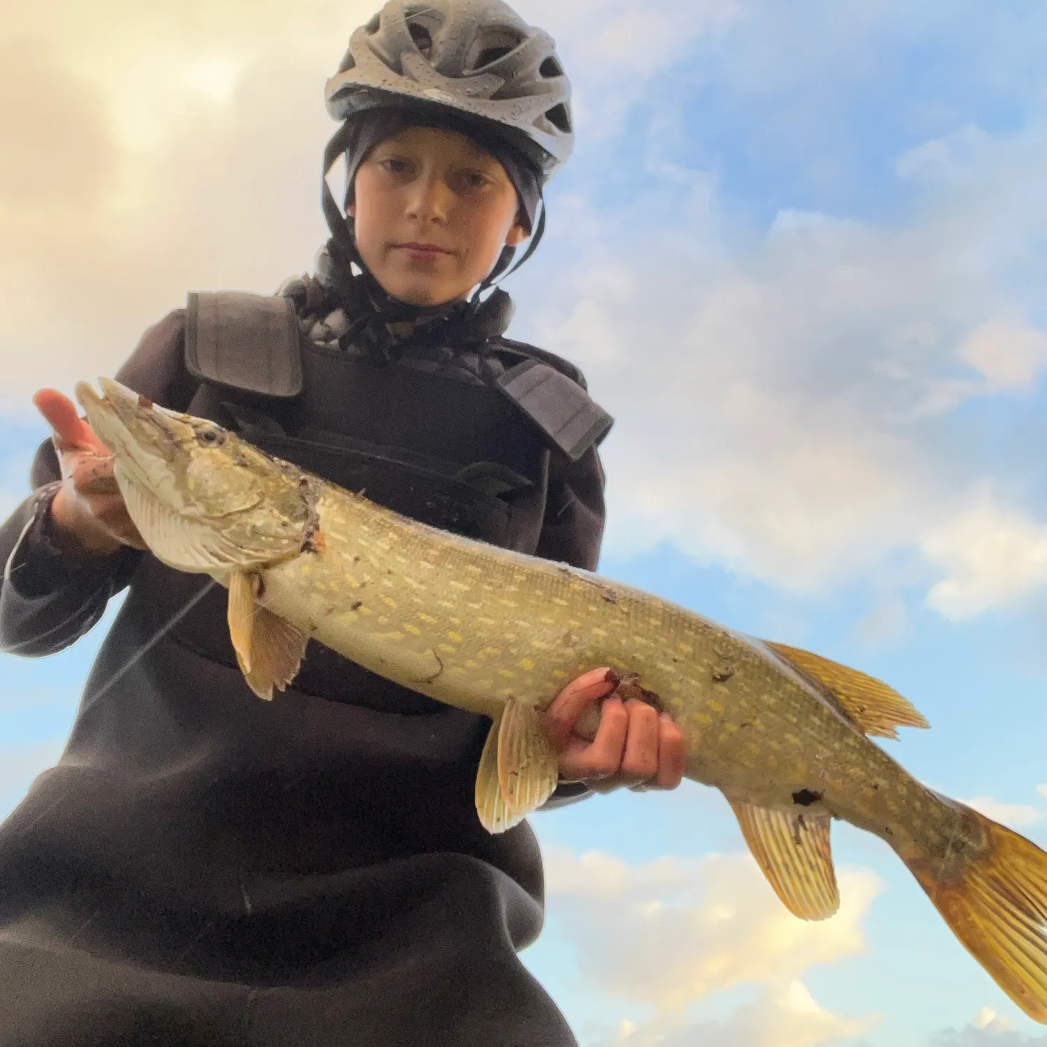 Northern pike caught on Fishbrain