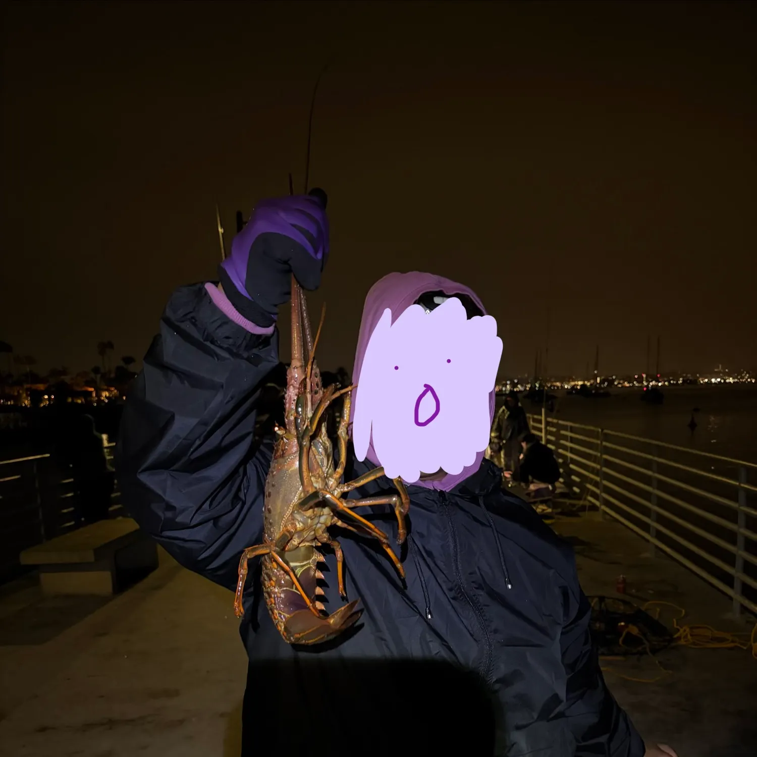The most recent California spiny lobster catches on Fishbrain