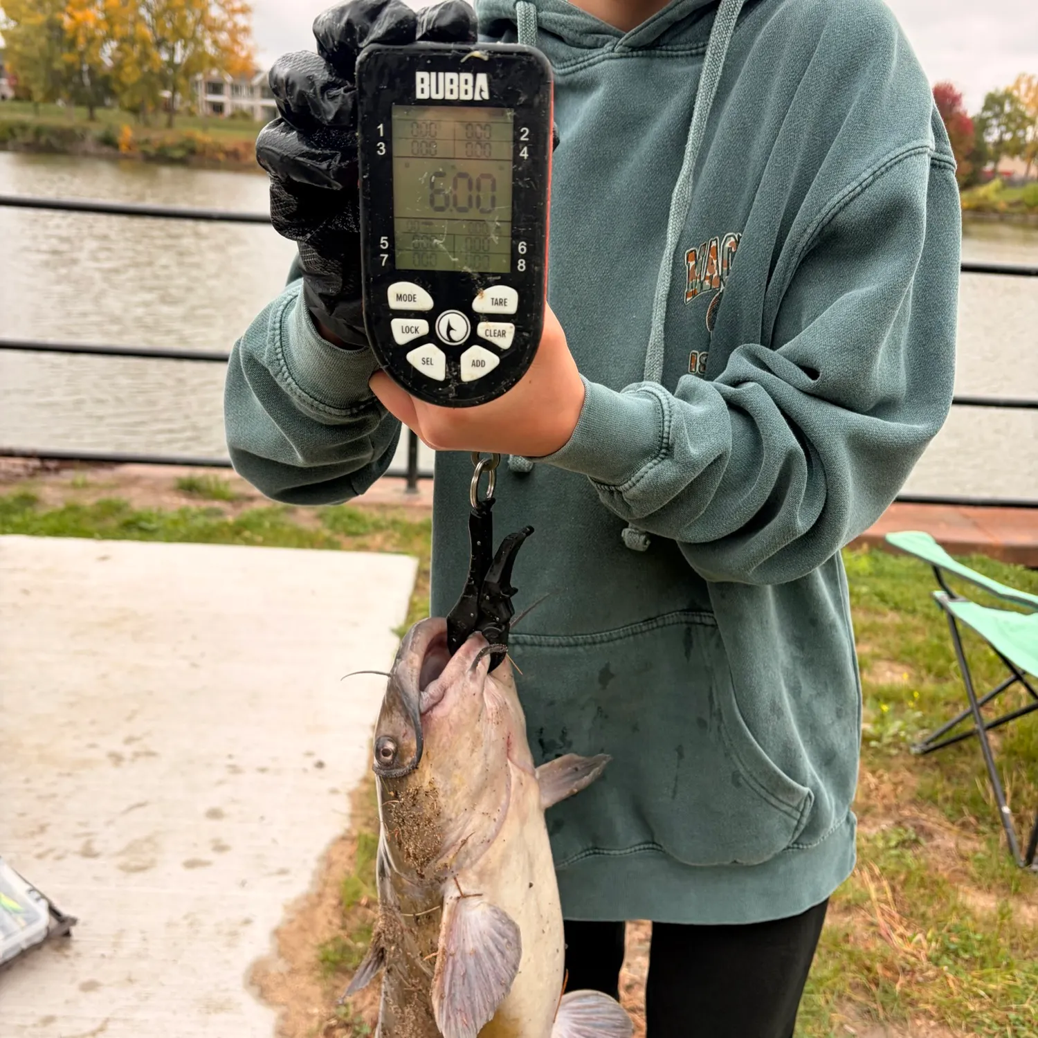Channel catfish caught on Fishbrain