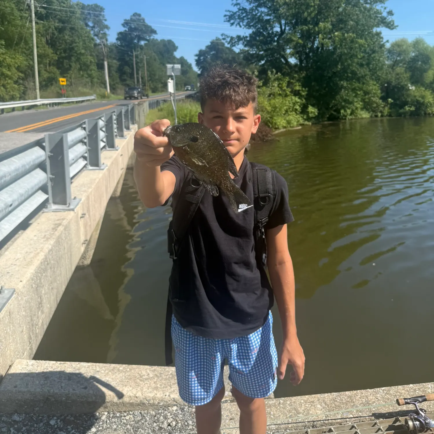 Green sunfish caught on Fishbrain