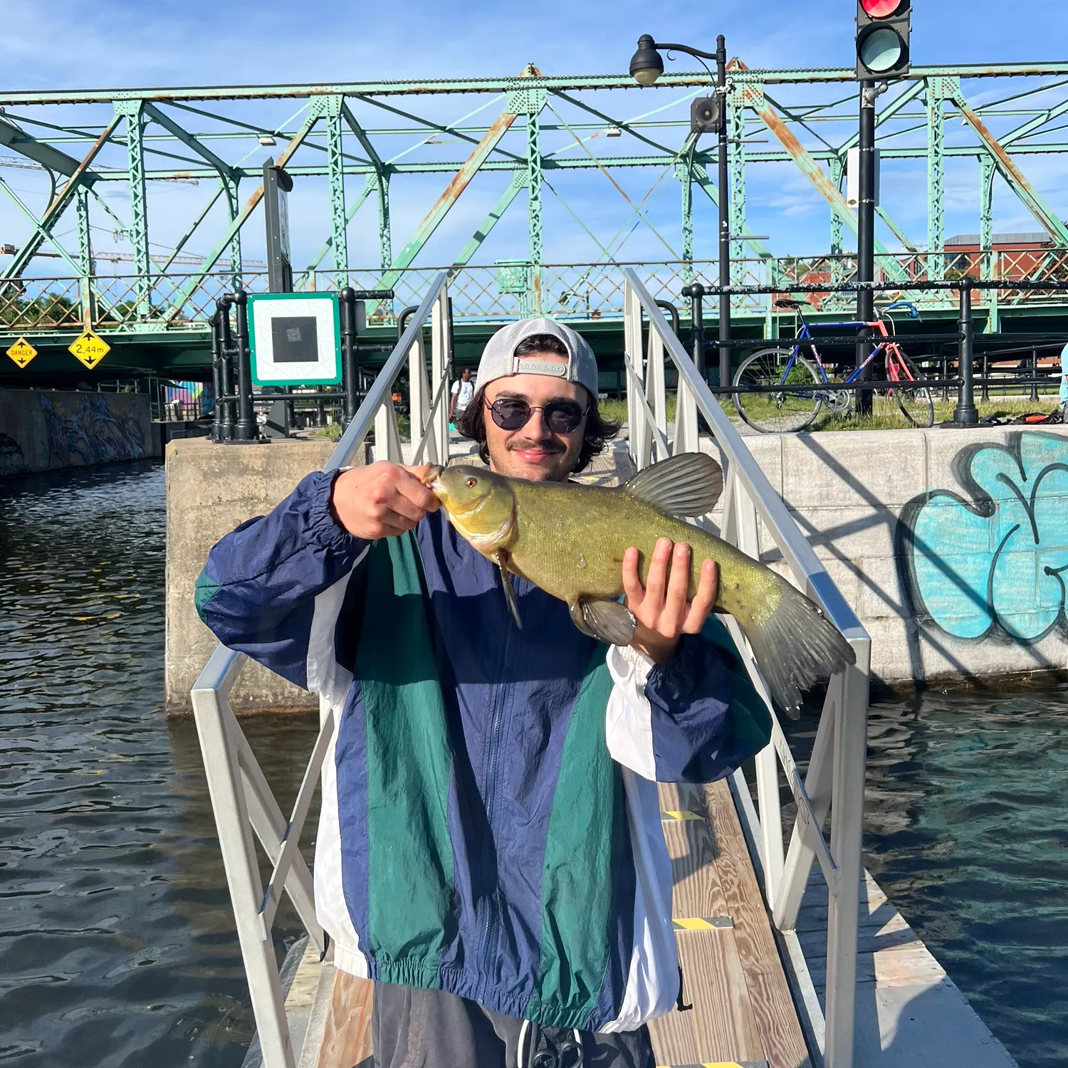The most recent Tench catches on Fishbrain