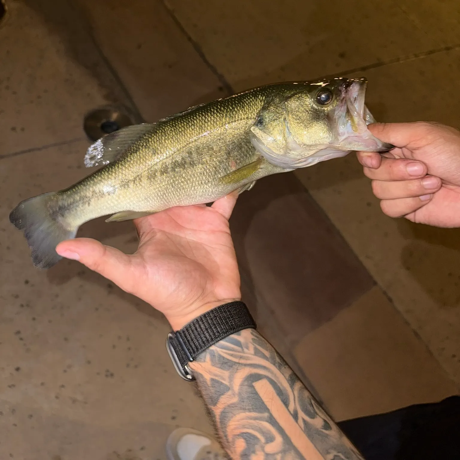 catch