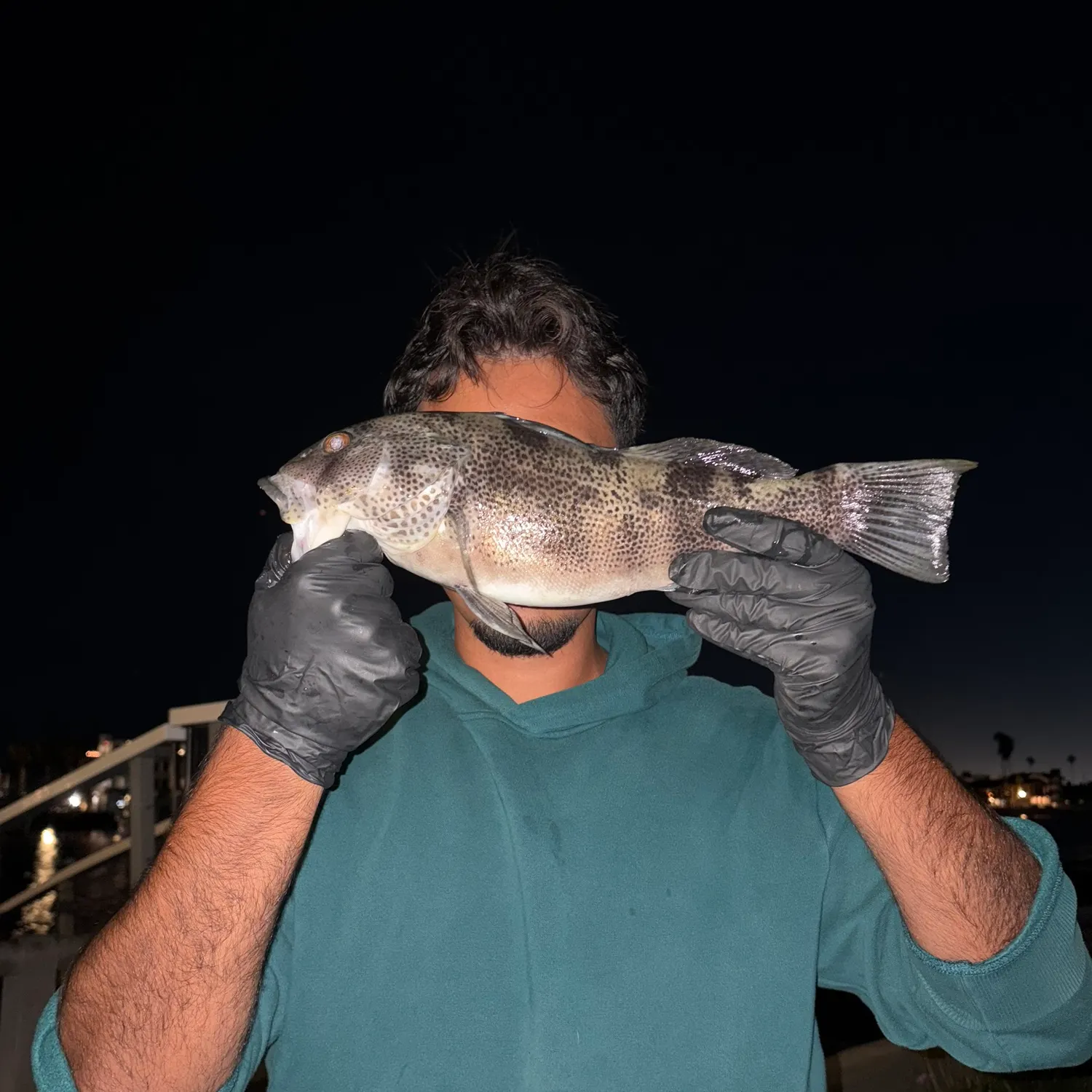 Spotted sand bass caught on Fishbrain