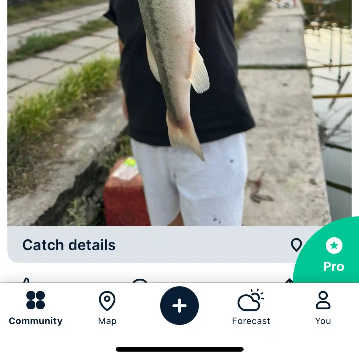 most liked catch image