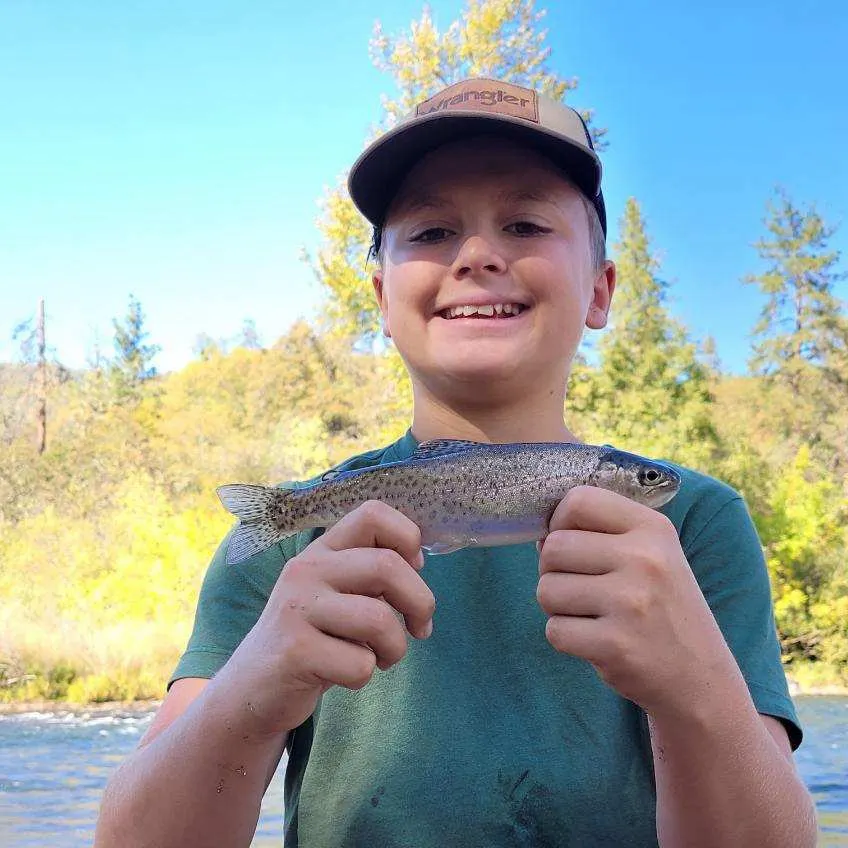 Rainbow trout caught on Fishbrain