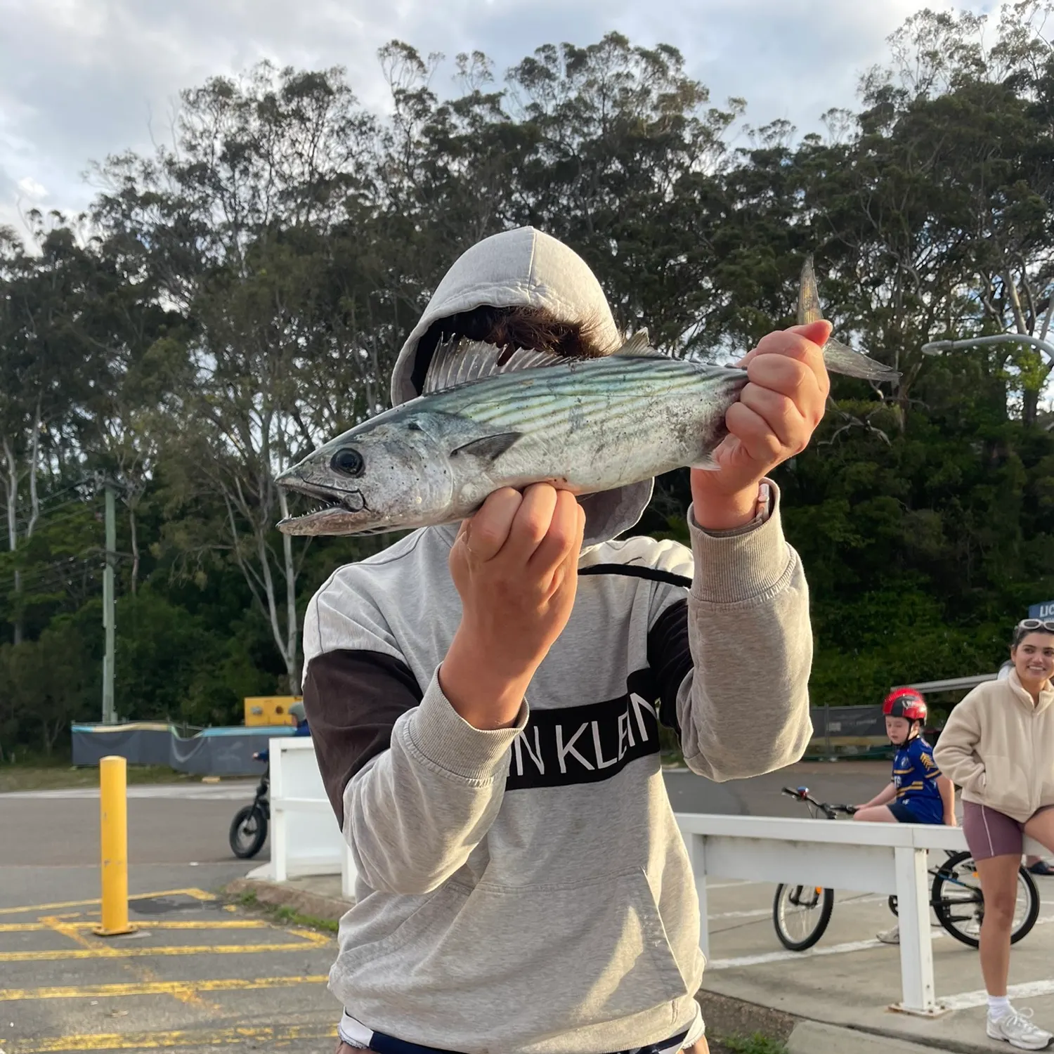 Australian bonito caught on Fishbrain