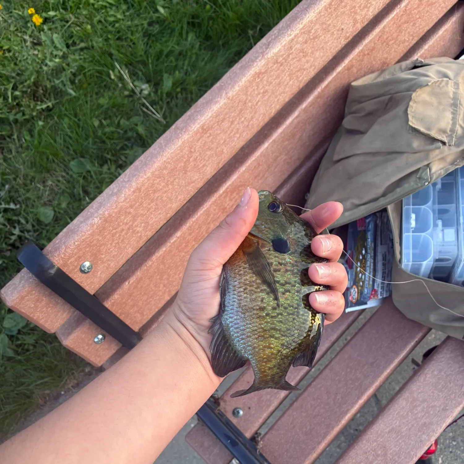 catch