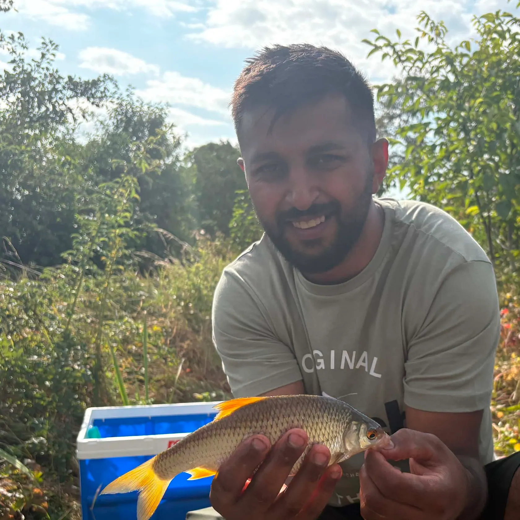 Common rudd caught on Fishbrain