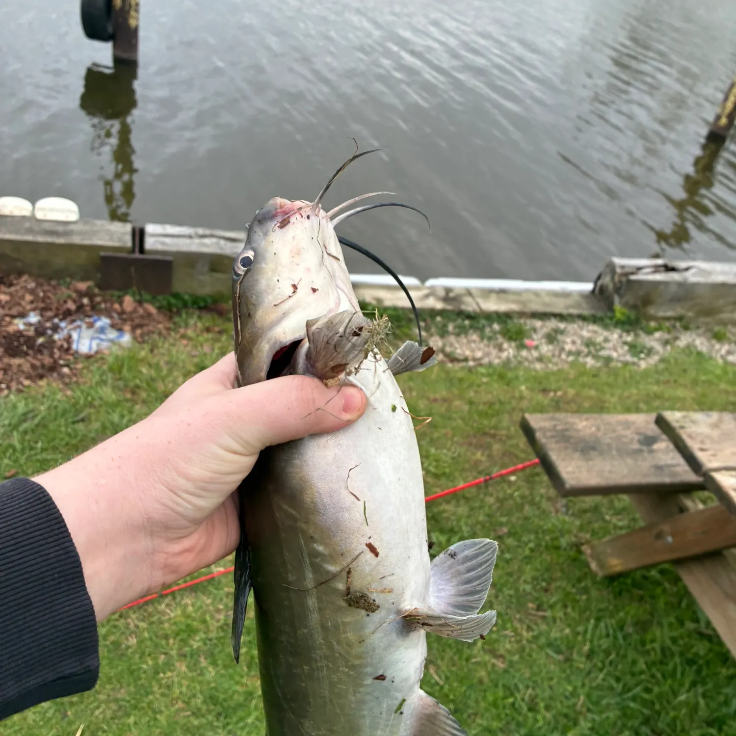 catch