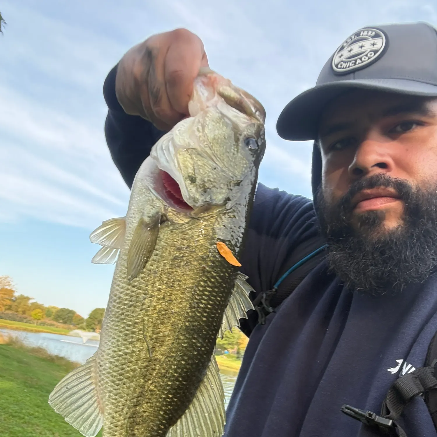 Largemouth bass caught on Fishbrain