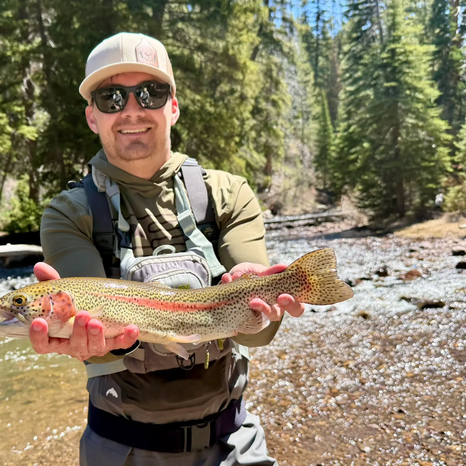 Rainbow trout caught on Fishbrain