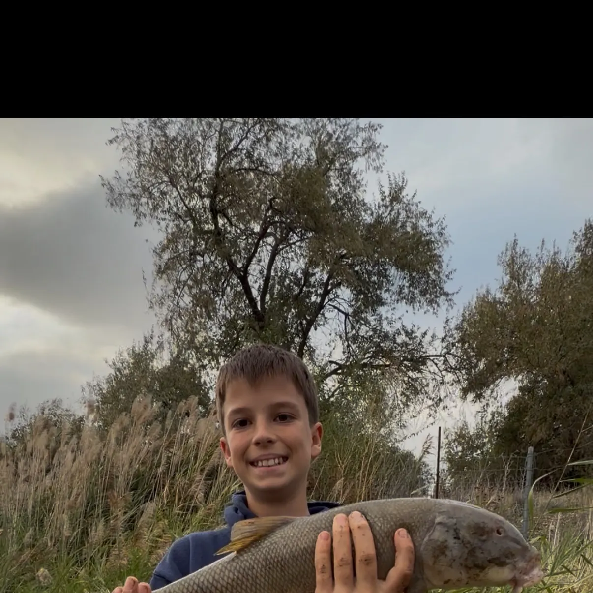 The most recent Utah sucker catches on Fishbrain