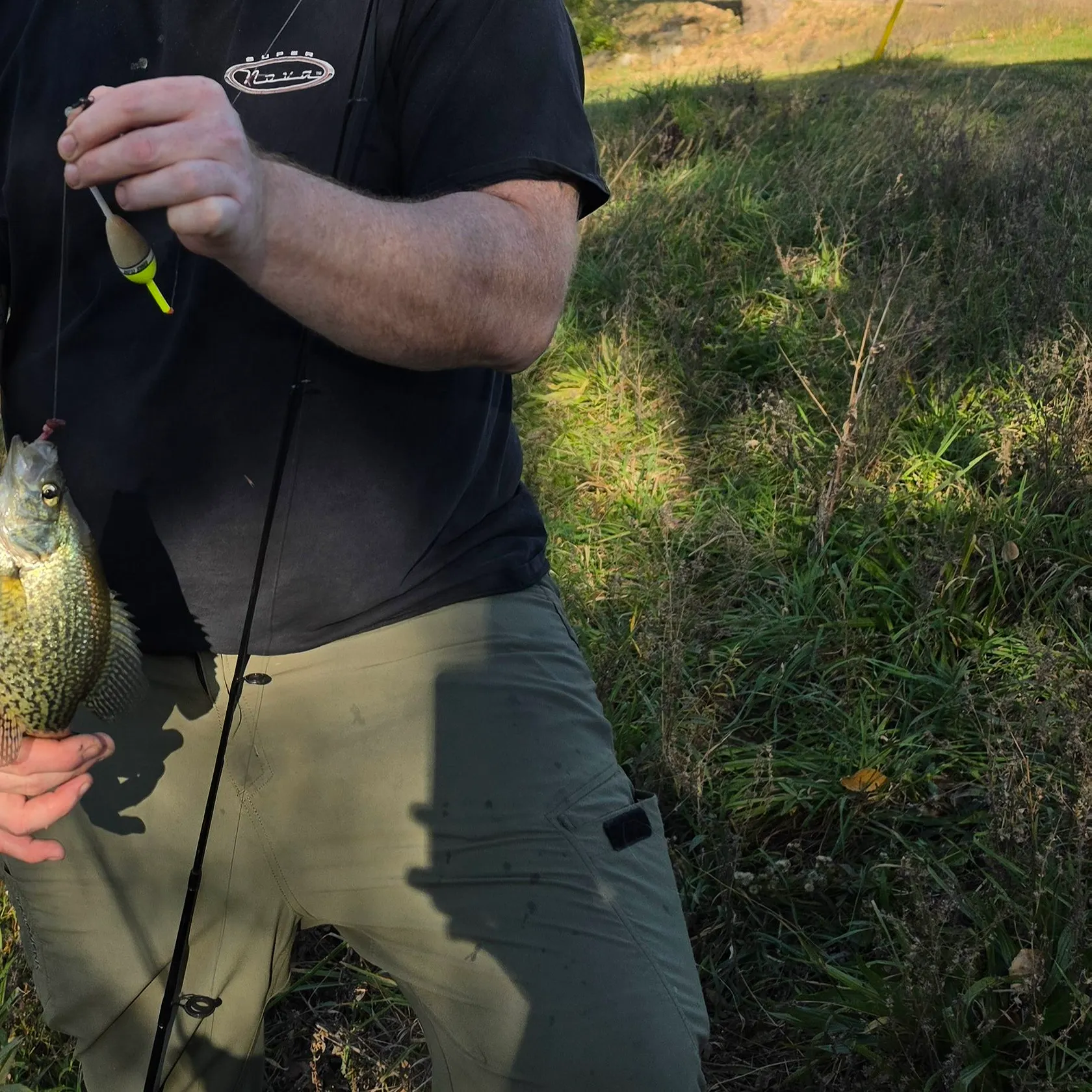 Black crappie caught on Fishbrain