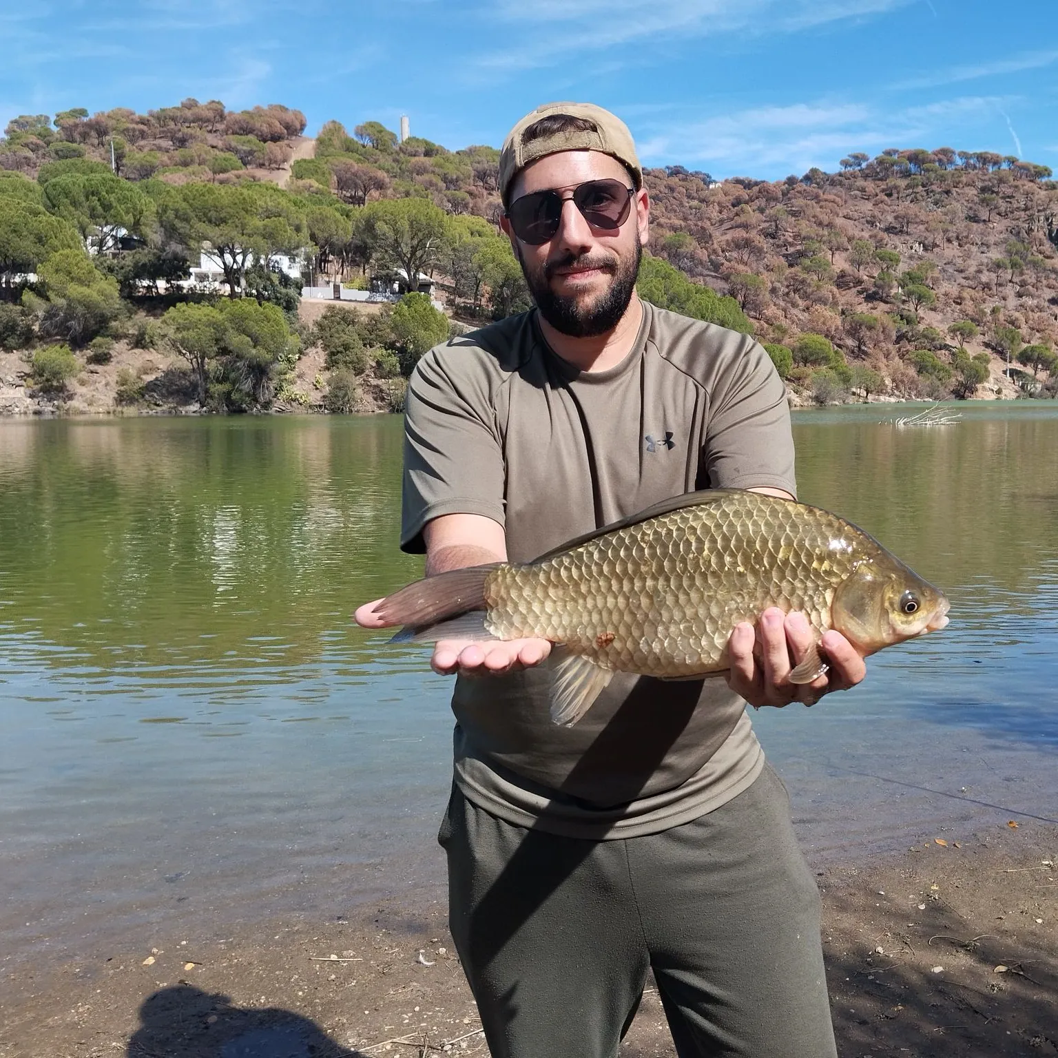 Crucian carp caught on Fishbrain