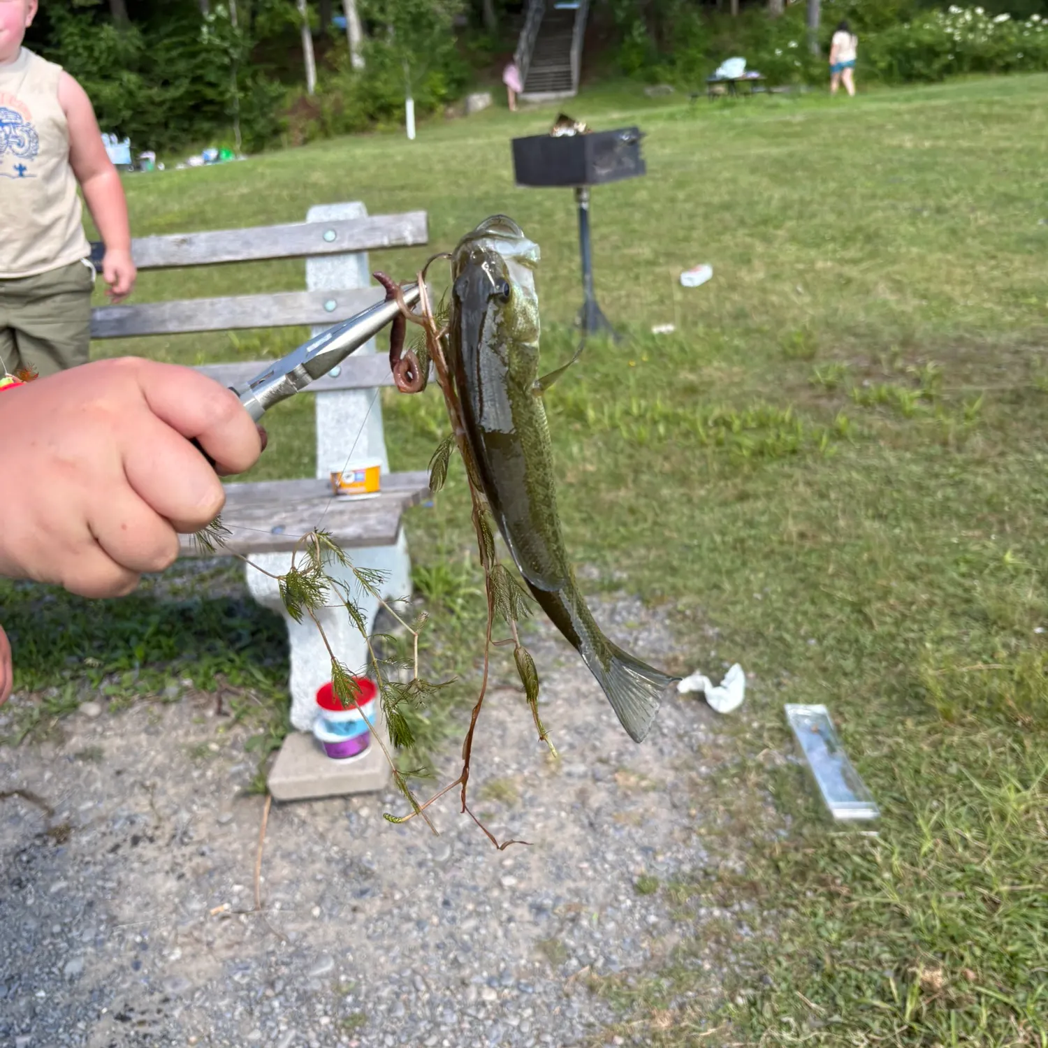 catch