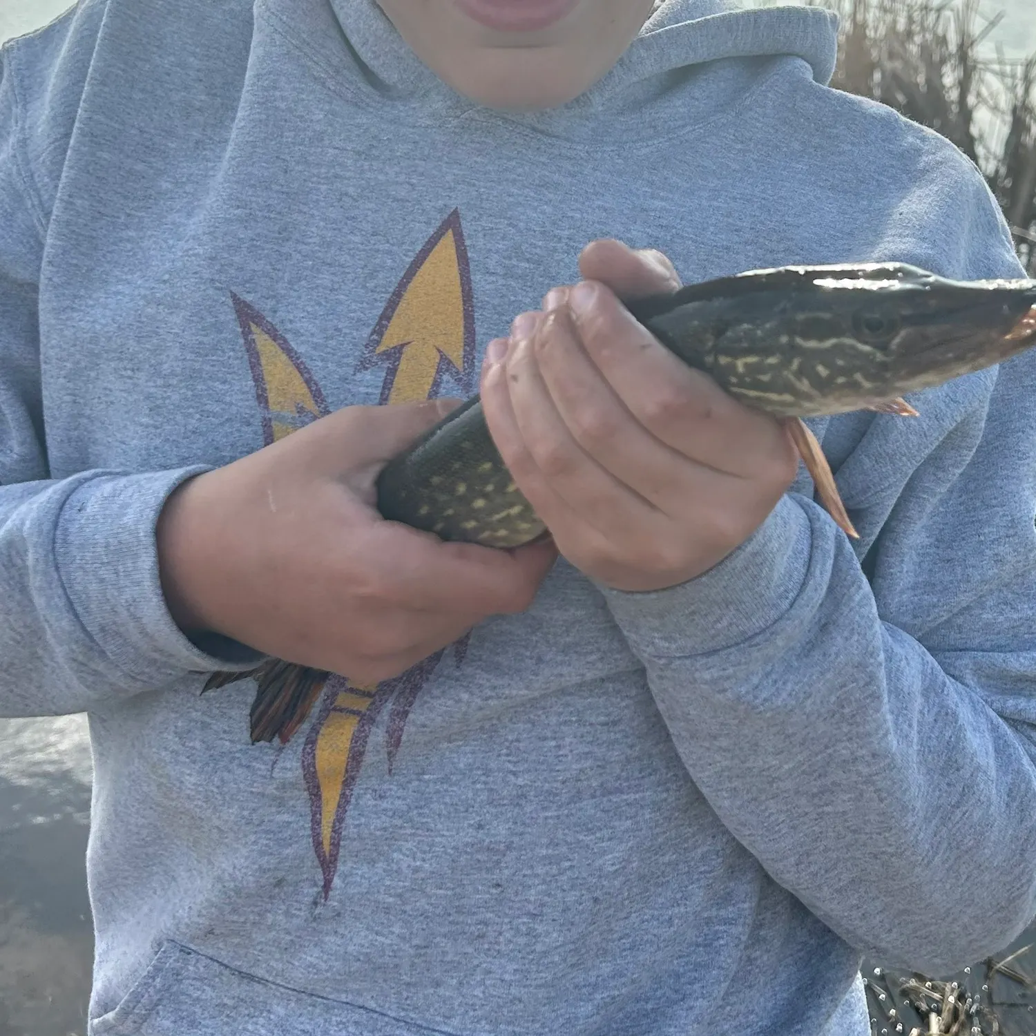 ᐅ Chanta Peta Creek fishing reports🎣• South Heart, ND (United States ...